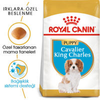 Royal Canin King Charles Puppy Yavru Köpek Maması 1.5 Kg - 2