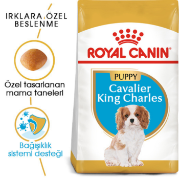 Royal Canin King Charles Puppy Yavru Köpek Maması 1.5 Kg - 2