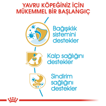 Royal Canin King Charles Puppy Yavru Köpek Maması 1.5 Kg - 3
