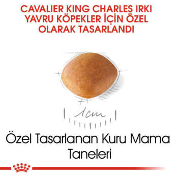 Royal Canin King Charles Puppy Yavru Köpek Maması 1.5 Kg - 5