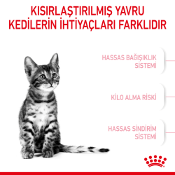 Royal Canin Kitten Sterilised Kısırlaştırılmış Yavru Kedi Maması 2 Kg - 4