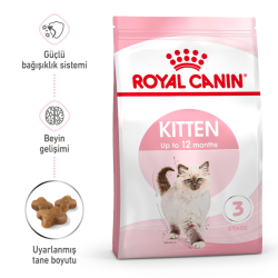 Royal Canin Kitten Yavru Kedi Maması 10 Kg - 2