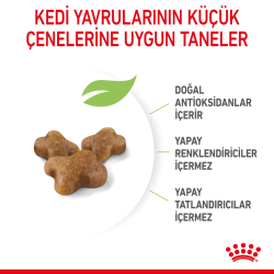 Royal Canin Kitten Yavru Kedi Maması 10 Kg - 3