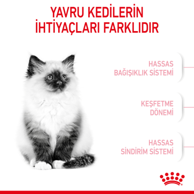 Royal Canin Kitten Yavru Kedi Maması 10 Kg - 4