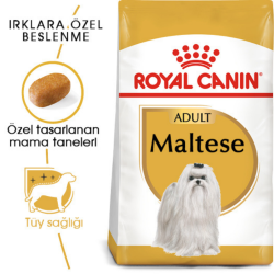 Royal Canin Maltese Adult Yetişkin Köpek Maması 1.5 Kg - 2