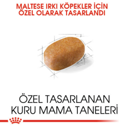 Royal Canin Maltese Adult Yetişkin Köpek Maması 1.5 Kg - 3