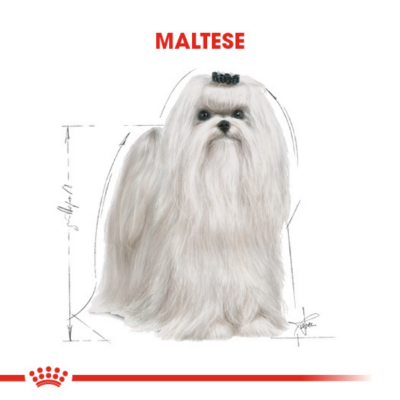 Royal Canin Maltese Adult Yetişkin Köpek Maması 1.5 Kg - 4