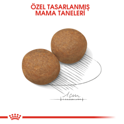 Royal Canin Maxi Adult Büyük Irk Yetişkin Köpek Maması 15 Kg - 3