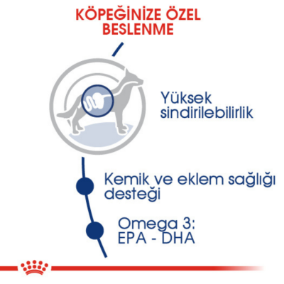 Royal Canin Maxi Adult Büyük Irk Yetişkin Köpek Maması 15 Kg - 4