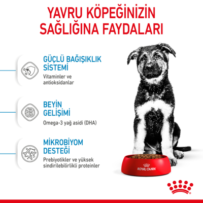 Royal Canin Maxi Puppy Büyük Irk Yavru Köpek Maması 15 Kg - 5