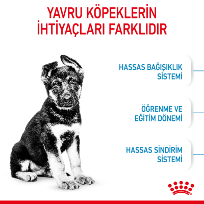 Royal Canin Maxi Puppy Büyük Irk Yavru Köpek Maması 15 Kg - 4