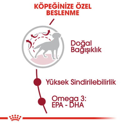 Royal Canin Medium Adult Orta Irk Yetişkin Köpek Maması 15 Kg - 4