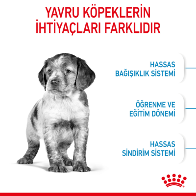 Royal Canin Medium Puppy Orta Irk Yavru Köpek Maması 15 Kg - 4