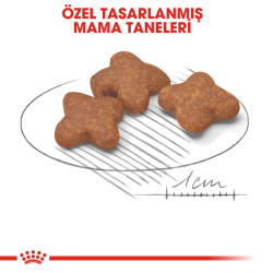 Royal Canin Mini Adult 8+ Yaşlı Köpek Maması 2 Kg - 3