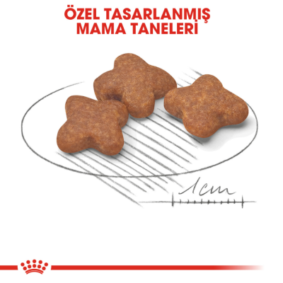 Royal Canin Mini Adult 8+ Yaşlı Köpek Maması 2 Kg - 3