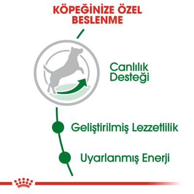 Royal Canin Mini Adult 8+ Yaşlı Köpek Maması 2 Kg - 4