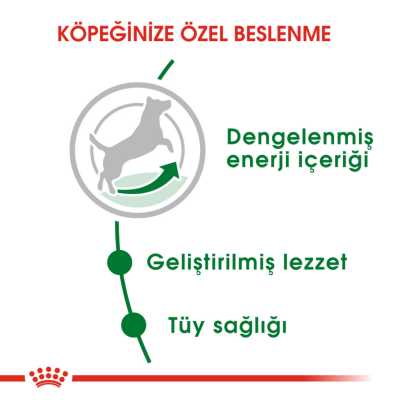 Royal Canin Mini Adult Küçük Irk Yetişkin Köpek Maması 2 Kg - 5