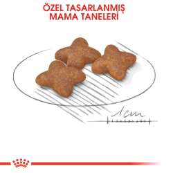 Royal Canin Mini Adult Küçük Irk Yetişkin Köpek Maması 2 Kg - 3