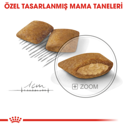 Royal Canin Mini Exigent Köpek Maması 3 kg - 3