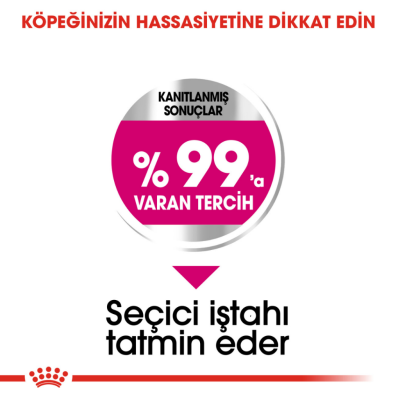 Royal Canin Mini Exigent Köpek Maması 3 kg - 4