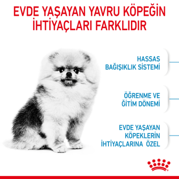 Royal Canin Mini İndoor Puppy Yavru Köpek Maması 1.5 Kg - 3