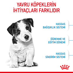 Royal Canin Mini Puppy Küçük Irk Yavru Köpek Maması 2 Kg - 4