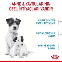 Royal Canin Mini Starter Mother & Babydog Yavru Köpek Maması 4 Kg - 4