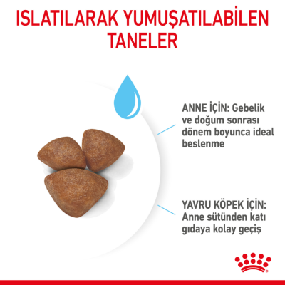 Royal Canin Mini Starter Mother & Babydog Yavru Köpek Maması 4 Kg - 3