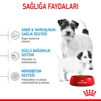 Royal Canin Mini Starter Mother & Babydog Yavru Köpek Maması 4 Kg - 5