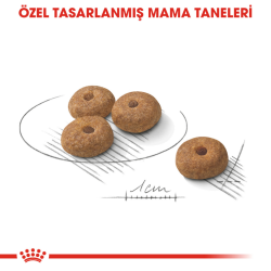 Royal Canin Mini Sterilised Kısırlaştırılmış Yetişkin Köpek Maması 3 Kg - 3