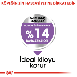 Royal Canin Mini Sterilised Kısırlaştırılmış Yetişkin Köpek Maması 3 Kg - 5