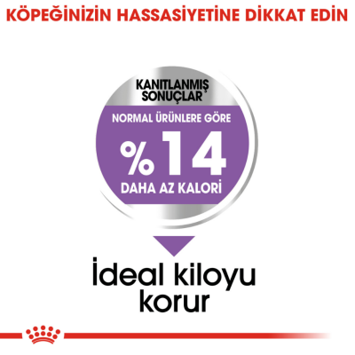 Royal Canin Mini Sterilised Kısırlaştırılmış Yetişkin Köpek Maması 3 Kg - 5