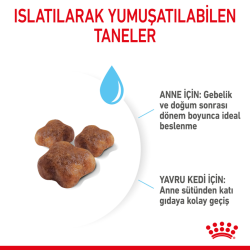 Royal Canin Mother & Babycat Yavru Kedi Maması 2 Kg - 3