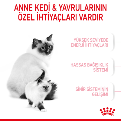 Royal Canin Mother & Babycat Yavru Kedi Maması 2 Kg - 4