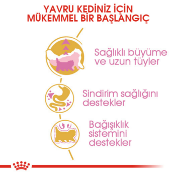 Royal Canin Persian Kitten Yavru Kedi Maması 2 Kg - 3