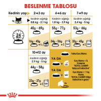 Royal Canin Persian Kitten Yavru Kedi Maması 2 Kg - 4