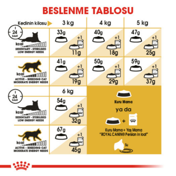 Royal Canin Persian Yetişkin Kedi Maması 10 Kg - 4