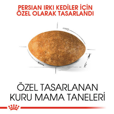 Royal Canin Persian Yetişkin Kedi Maması 2 Kg - 3