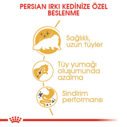 Royal Canin Persian Yetişkin Kedi Maması 2 Kg - 5