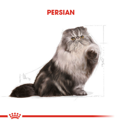 Royal Canin Persian Yetişkin Kedi Maması 4 Kg - 4