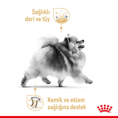 Royal Canin Pomeranian Adult Yetişkin Köpek Maması 1.5 Kg - 5