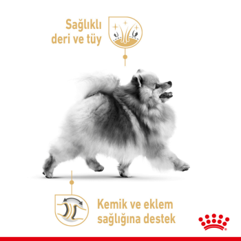 Royal Canin Pomeranian Adult Pouch Köpek Yaş Maması 85 Gr - 4