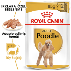 Royal Canin Poodle Adult Gravy Pouch Köpek Yaş Maması 85 Gr - 2