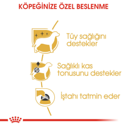 Royal Canin Poodle Adult Gravy Pouch Köpek Yaş Maması 85 Gr - 4