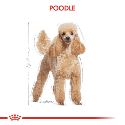 Royal Canin Poodle Adult Gravy Pouch Köpek Yaş Maması 85 Gr - 5