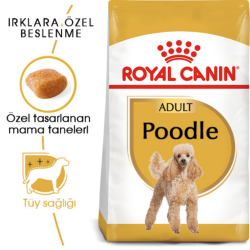 Royal Canin Poodle Adult Yetişkin Köpek Maması 3 Kg - 2