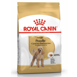 Royal Canin Poodle Adult Yetişkin Köpek Maması 3 Kg - 1