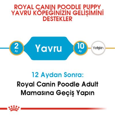 Royal Canin Poodle Puppy Yavru Köpek Maması 3 Kg - 4