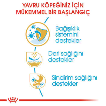 Royal Canin Pug Puppy Yavru Köpek Maması 1.5 Kg - 3