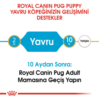 Royal Canin Pug Puppy Yavru Köpek Maması 1.5 Kg - 4